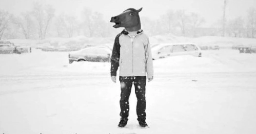 Horse-Snow-1